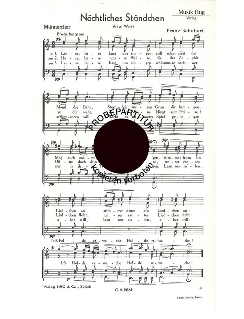 Nächtliches Ständchen